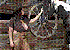 cowb06.jpg cowb06.jpg
