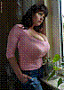 rose19.jpg rose19.jpg
